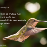 Karty inspiracja (2)