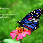 Karty inspiracja (3)