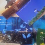 Zdjęcie WhatsApp 2023-12-06 o 08.43.06_543e2189