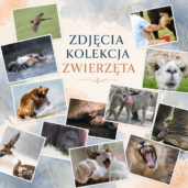 zwierzęta (2)