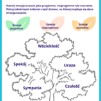 14_20240620_172801_0002